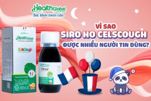 siro trị ho cho người lớn và trẻ em